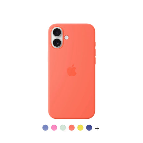 Hüllen für iPhone 16 Plus